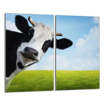 TMK Staklena zaštitna ploča za štednjak 2x30x52 Cow