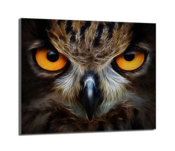 TMK Staklena zaštitna ploča za štednjak 60x52 Owl