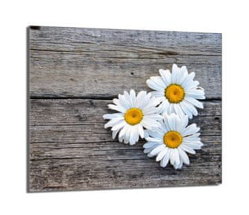 TMK Staklena zaštitna ploča za štednjak 60x52 Daisy