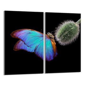 TMK Staklena zaštitna ploča za štednjak 2x30x52 Leptir