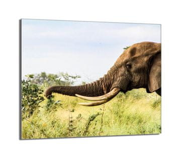 TMK Staklena zaštitna ploča za štednjak 60x52 Elephant