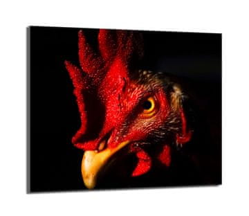 TMK Zaštitna staklena ploča za štednjak 60x52 Rooster