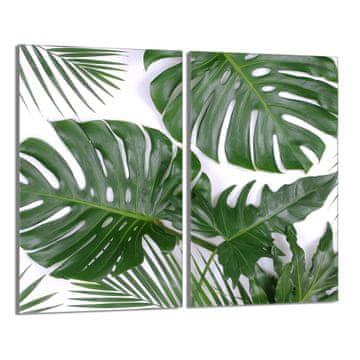 TMK Staklena zaštita za ploču za kuhanje 2x30x52 Monstera
