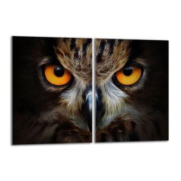 TMK Staklena zaštitna ploča za štednjak 2x40x52 Owl