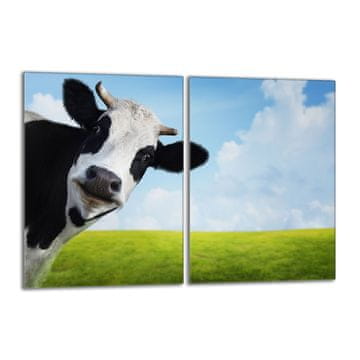 TMK Staklena zaštitna ploča za štednjak 2x40x52 Cow