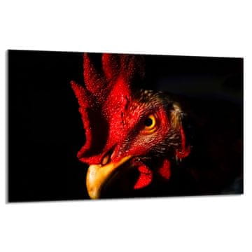 TMK Staklena zaštitna ploča za štednjak 80x52 Rooster