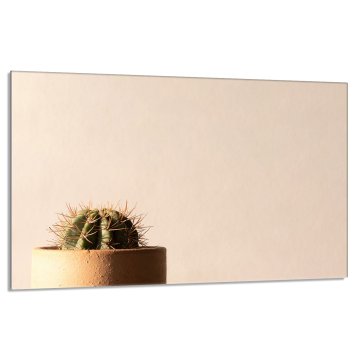 TMK Staklena zaštita za štednjak 80x52 Cactus