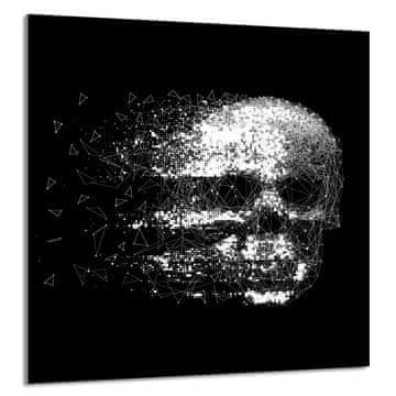 TMK STAKLENA PLOČA ZA KUHINJU 60x65 Lubanja