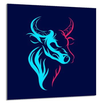 TMK STAKLENA PLOČA ZA KUHINJU 60x65 Bull