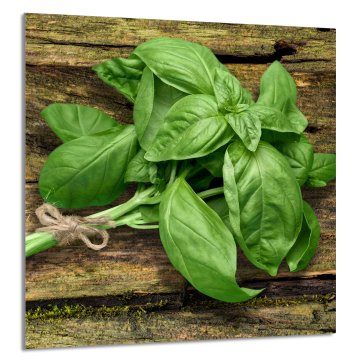 TMK STAKLENA PLOČA ZA KUHINJU 60x65 Bosiljak