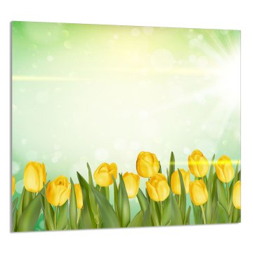 TMK STAKLENA PLOČA ZA KUHINJU 65x60 Tulipani