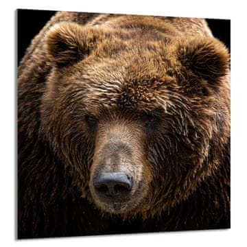 TMK STAKLENA PLOČA ZA KUHINJU 60x65 Medvjedić