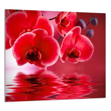 TMK STAKLENA PLOČA ZA KUHINJU 65x60 Orhideja