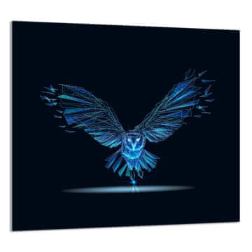 TMK STAKLENA PLOČA ZA KUHINJU 65x60 Bird