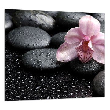 TMK STAKLENA PLOČA ZA KUHINJU 65x60 Orhideja