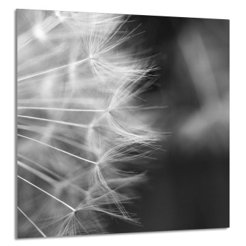 TMK STAKLENA PLOČA ZA KUHINJU 60x65 Cvijet