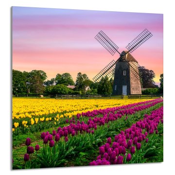 TMK STAKLENA PLOČA ZA KUHINJU 60x65 Livada