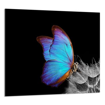 TMK STAKLENA PLOČA ZA KUHINJU 65x60 Leptir