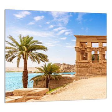 TMK STAKLENA PLOČA ZA KUHINJU 65x60 Palms