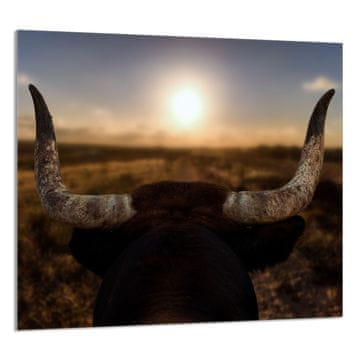 TMK STAKLENA PLOČA ZA KUHINJU 65x60 Sun