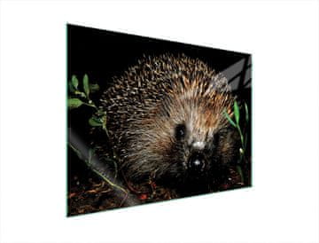 TMK ZAŠTITNA PLOČA OD STAKLENA ZA ŠTEDNJAK 70x52 JEŽ