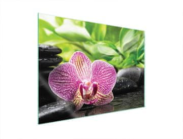 TMK ZAŠTITNA PLOČA OD STAKLA ZA ŠTEDNJAK 70x52 ORHIDEJA