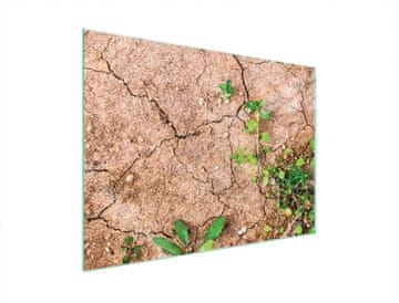 TMK ZAŠTITNA PLOČA OD STAKLENA ZA ŠTEDNJAK 70x52 ZA BILJKE