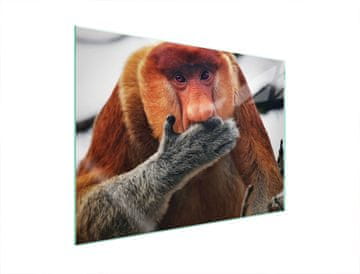 TMK ZAŠTITNA PLOČA OD STAKLA ZA ŠTEDNJAK 70x52 NOSACZ