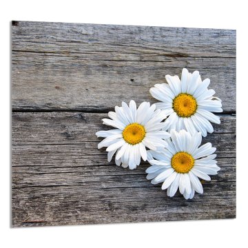 TMK STAKLENA PLOČA ZA KUHINJU 65x60 Daisy