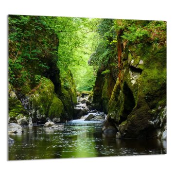 TMK STAKLENA PLOČA ZA KUHINJU 65x60 Forest