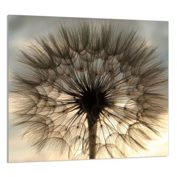 TMK STAKLENA PLOČA ZA KUHINJU 65x60 Cvijet