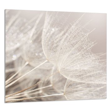 TMK STAKLENA PLOČA ZA KUHINJU 65x60 Cvijet