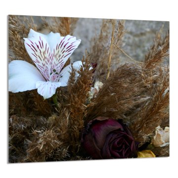 TMK STAKLENA PLOČA ZA KUHINJU 65x60 Orhideja