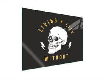 TMK ZAŠTITNA PLOČA OD STAKLENA ZA ŠTEDNJAK 70x52 LUBANJA