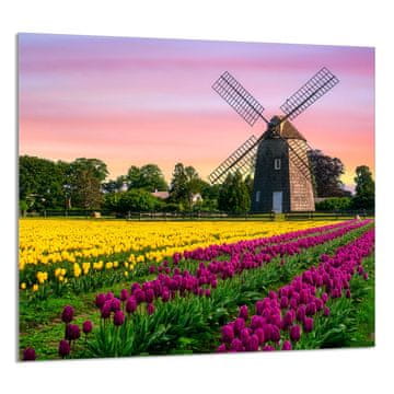 TMK STAKLENA PLOČA ZA KUHINJU 65x60 Livada