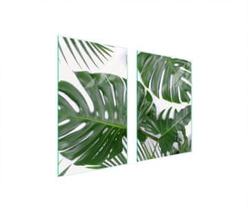 TMK ZAŠTITNA PLOČA OD STAKLA ZA KUHINJU 65x52 MONSTERA