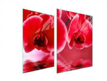 TMK ZAŠTITNA PLOČA OD STAKLA ZA ŠTEDNJAK 70x52 ORHIDEJA