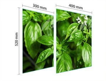 TMK ZAŠTITNA PLOČA OD STAKLA ZA ŠTEDNJAK 70x52 BASIL