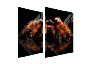 TMK ZAŠTITNA PLOČA OD STAKLA ZA ŠTEDNJAK 70x52 SPIDER