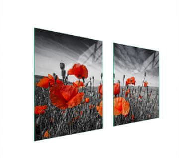 TMK ZAŠTITNA PLOČA OD STAKLA ZA ŠTEDNJAK 85x52 MAKI