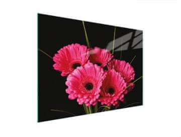 TMK STAKLENA DASKA ZA REZANJE 30x22 GERBERA