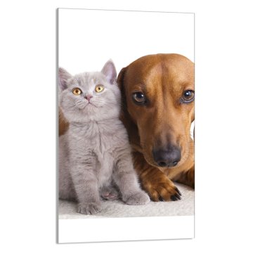 TMK STAKLENA DASKA ZA REZANJE 30x52 Životinje