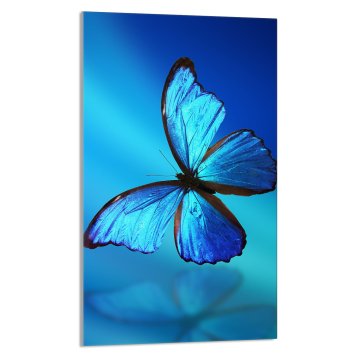 TMK STAKLENA DASKA ZA REZANJE 30x52 Leptir