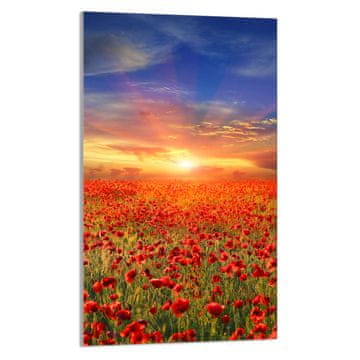 TMK STAKLENA DASKA ZA REZANJE 30x52 Maki