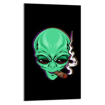 TMK STAKLENA DASKA ZA REZANJE 30x52 UFO