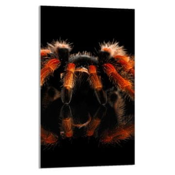 TMK STAKLENA DASKA ZA REZANJE 30x52 Spider