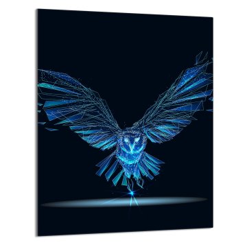 TMK STAKLENA DASKA ZA REZANJE 40x52 Bird