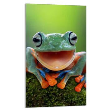 TMK STAKLENA DASKA ZA REZANJE 30x52 Žaba