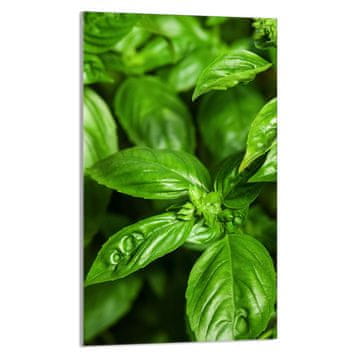 TMK STAKLENA DASKA ZA REZANJE 30x52 Bosiljak