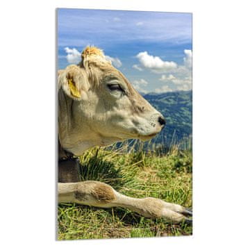 TMK STAKLENA DASKA ZA REZANJE 30x52 Cow